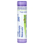 Thuja Occidentalis, 200CK, Wart Relief, Approx 80 Pellets. Fixed Price $10.75.