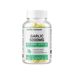 Garlic Fresh Extract 5000 Mg Cholesterol Health Supp 120 Antioxidant Pills Gel. Fixed Price $10.99.
