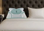 Healthy Sleep Premium Cpap And Cervical Neck Support Pillow. Fixed Price $119.00.