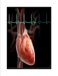 Blood Pressure Formula Best High Pills Lower. Fixed Price $18.95.