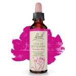 Bach Original Flower Remedies Star Of Bethlehem Neutralize Grief 0.7 Oz 20ML. Fixed Price $18.65.