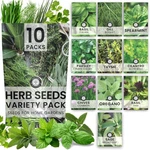 Herb Seeds 10 Individual Packs 2026 Season Non-gmo Mint, Parsley, Bas.... Fixed Price $14.57.