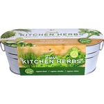 Buzzy Seeds Organic Windowsill Grow Kit, Copper Culinary Herb Garden With Bas.... Fixed Price $25.40.