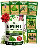 Home Grown Mint Seeds Variety 870+ Heirloom Tea Herb 6-PACK, White. Fixed Price $18.99.