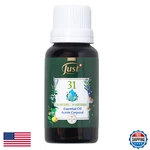 Oil 31-20ML Bottle Essential Blend Ideal For. Fixed Price $73.25.