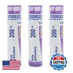Boiron Ruta Graveolens 200CK Homeopathic Medicine For Pain Relief - Pack Of 3. Fixed Price $44.88.