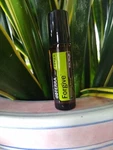 Doterra Forgive Touch Essential Oil Roll-on 10 Ml New & Sealed Exp 02/29. Fixed Price $21.00.