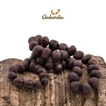 Baltic Amber Necklace Raw Cherry. Fixed Price $21.99.