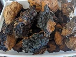 Dried Chaga Mushroom Chunks Organic From Upper Michigan 1 Pound. Fixed Price $43.99.