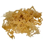 Irish Sea Moss Whole Leaf - 100% Raw Wildcrafted Chondrus Crispus Superfood Bulk. Fixed Price $1000.00.