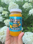 Biolore Sea Moss Gel Mango & Pineapple 8OZ Immune Digestive Support Superfood. Fixed Price $15.00.