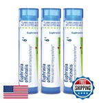 Boiron Euphrasia Officinalis 6C Homeopathic Medicine For Abundant And. Fixed Price $27.10.