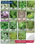 Gardeners Basics, 15 Herb Seeds For Planting Varieties Heirloom Non-gmo 5200+. Fixed Price $32.09.