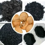 Coconut Shell Charcoal & Pure Organic Activated Carbon Chips 100% Natural. Fixed Price $30.00.