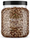 1600 Moringa Oleifera Seeds Lb. Bulk Jar Wingless Fresh Semillas De. Fixed Price $31.25.