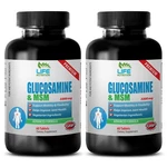 Msm 1500 - Glucosamine Chondroitin 3230MG Help Rebuild Cartilage 2B. Fixed Price $30.85.