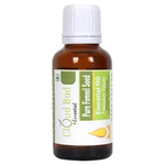 Cloud Bud Pure Fennel Seed Essential Oil Foeniculum Vulgare Natural For Skin. Fixed Price $27.99.
