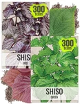 Needs Shiso Seeds For Planting Green & Red Perilla Non-gmo. Fixed Price $16.33.