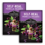 Self-heal Seeds For Planting Prunella Vulgaris (all-heal, Selfheal) Purple. Fixed Price $14.99.