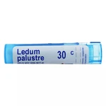 Boiron Ledum Palustre 30C, Homeopathic Medicine For Insect Bites, 80 Pellets. Fixed Price $12.29.