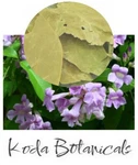 Ajos Sacha Garlic Vine Herbal Tea Premium Grade Mansoa Alliacea Dried Leaf. Fixed Price $15.37.