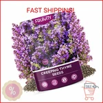 Fruivity 20000+PCS Creeping Thyme Seeds For Planting, Non-gmo Perennial Ground. Fixed Price $15.16.