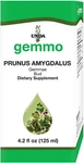 Unda Gemmo Therapy Prunus Amygdalus Almond Buds 4.5 Fl Oz (pack Of 1). Fixed Price $72.00.