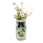 Environet Hydroponic Herb Growing Kit, Self-watering Mason Jar Garden St.... Fixed Price $36.61.