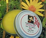 Arnica Salve Pain Relief Inflammation Skin Cream Arthritis 4 Oz. Fixed Price $17.25.