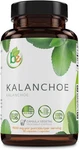 Kalanchoe Pinnata Forte(leaf Of Life) 90 Capsules (1500 Mg Per Serving). Fixed Price $39.99.