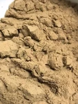 Skullcap Root 20:1 Extract POWDER-50GM-AUSSIE Herbalist Seller. Fixed Price $20.73.