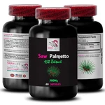 Authentic Source - Saw Palmetto 45% Extract Natural Choice 1 Bottle 60 Caps. Fixed Price $19.78.
