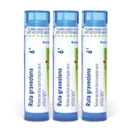 Boiron Ruta Graveolens 6C Homeopathic Medicine For Eye Strain - Pack Of 3 240. Fixed Price $38.46.