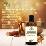 Devinez Sandalwood (chandan) Essential Oil, 100% Pure, Natural & Undiluted 100ML. Fixed Price $49.27.