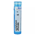 Boiron Symphytum Officinale 6C, Homeopathic For Bone Trauma, 80 Pellets. Fixed Price $11.29.