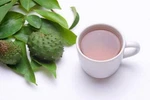 Soursop Leave Powder-air Dried Organic Tea Guyabano Graviola Guanabana HERBS-5OG. Fixed Price $11.99.