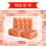 Himalayan Pink Salt Bricks 8X4X2 Blocks Build Panel Home Cor Pack Of 10. Fixed Price $137.99.