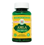 Apollo Ayurveda Organic Amla Capsules - 60. Fixed Price $23.99.