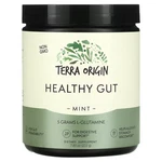 X Terra Origin, Healthy Gut, Mint, 7.83 Oz (222 G). Fixed Price $123.80.
