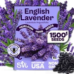 Svi 1500 English Lavender Seeds For Planting (lavandula Angustifolia) Blue. Fixed Price $15.99.