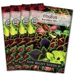 Sow Right Seeds - Rainbow Mix Coleus For 4 Standard Packets,. Fixed Price $18.95.
