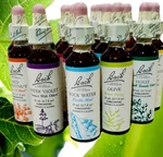 Set 37 (20 Ml Each) Bach Flower Essences Remedies Kit Exp. 2027 -2028 -2029. Fixed Price $349.94.