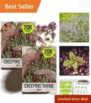 Wild Creeping Thyme Seeds For Planting - Heirloom & Open Pollinated Attract.... Fixed Price $11.99.