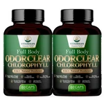 Chlorophyll Capsules Natural Internal Deodorant Body Cleanse 2 Pack 60. Fixed Price $20.57.