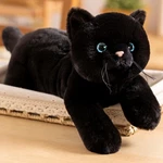 Weighted Stuffed Animals Cat, Plushies Black Toy With Himalaya.... Fixed Price $28.59.