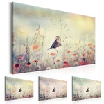 Bird Meadow Nature Canvas Print Framed Wall Art Picture Photo Image G-B-0027-B-B. Fixed Price $89.99.
