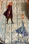 Frozen Heavy Weighted Blanket Elsa Anna Winter Very Warm 5LBS Twin Bed 40"X60". Fixed Price $22.99.
