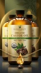 Handcraft Blends Cold-pressed Organic Castor Oil In 16 Fl Oz (pack Of 1). Fixed Price $26.90.