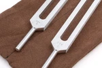 Body Tuners Tuning Forks 256HZ 384HZ (c&g) Sound Healing, Precision-m.... Fixed Price $79.87.