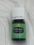 Young Living Kidscents Tummygize Essential Oil 5ML New Factory Sealed. Fixed Price $12.00.